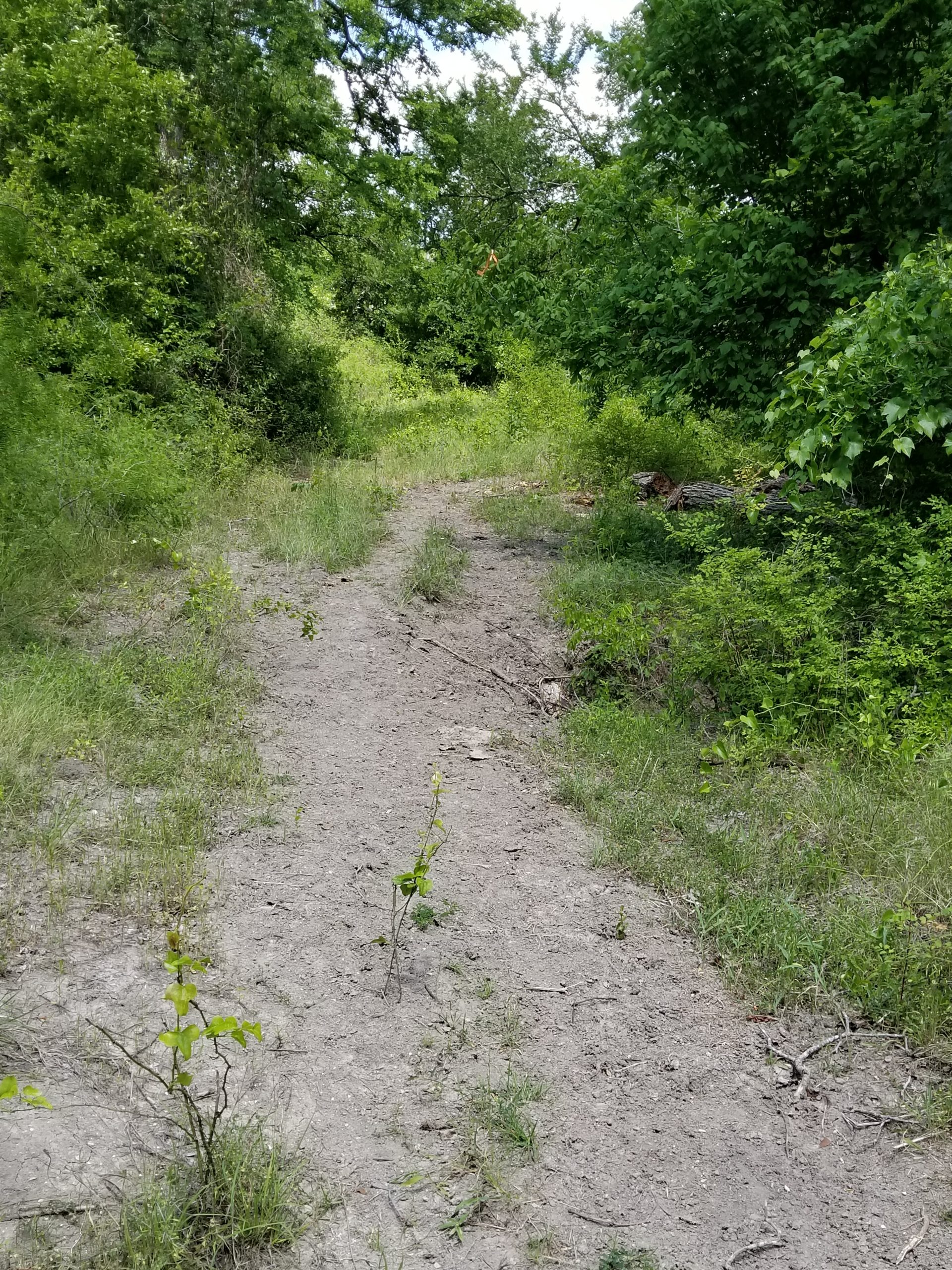 The Trails At Deer Creek Farms Deer Creek Farms